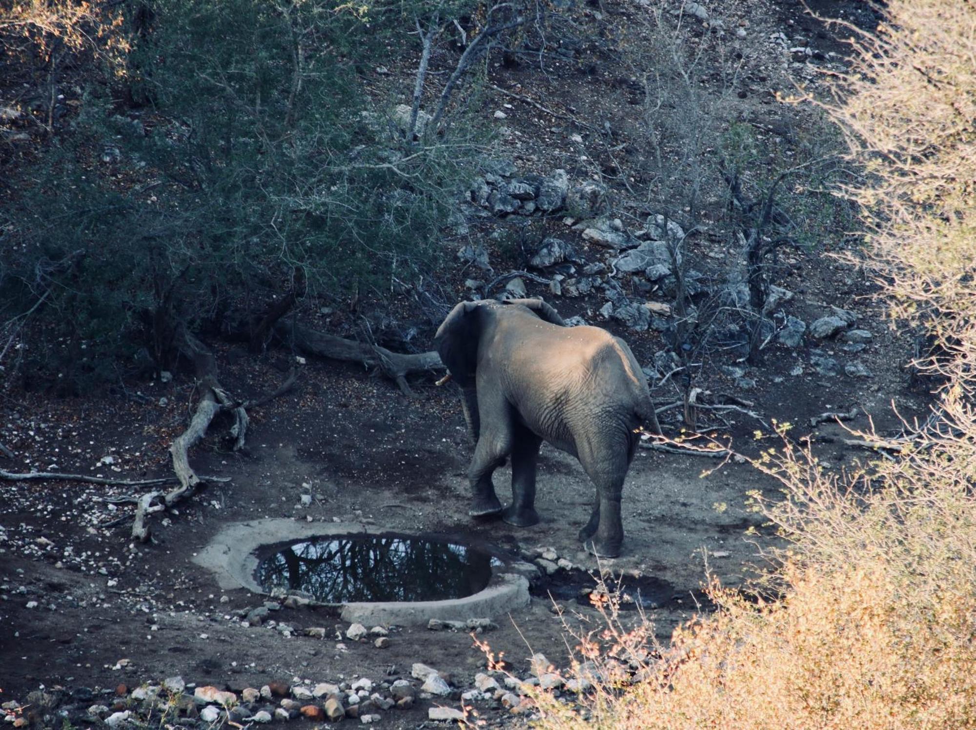 Parsons Hilltop Safari Camp بالول جيم ريسيرف المظهر الخارجي الصورة