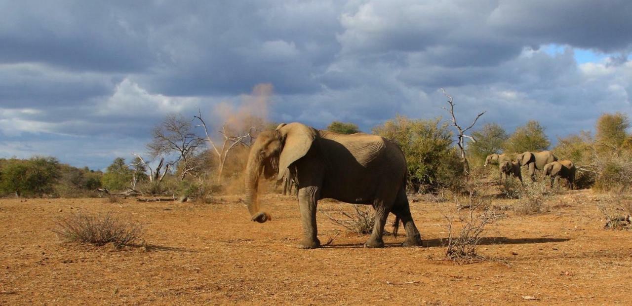 Parsons Hilltop Safari Camp بالول جيم ريسيرف المظهر الخارجي الصورة