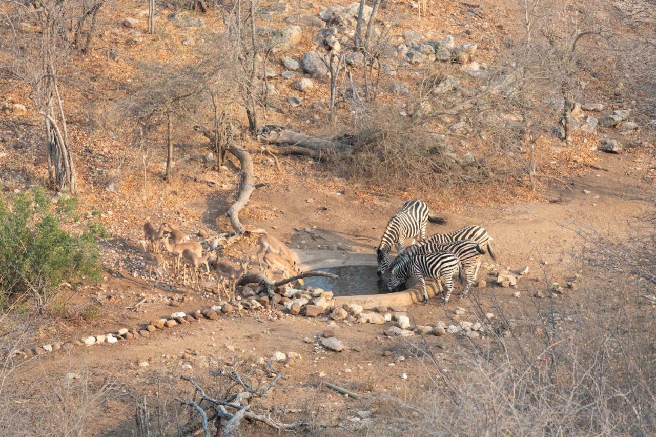 Parsons Hilltop Safari Camp بالول جيم ريسيرف المظهر الخارجي الصورة